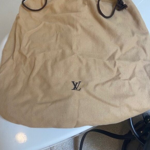 Louis Vuitton Ebene Soho backpack (includes dust bag) main image 9